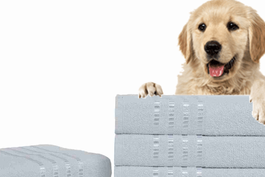 Como diferenciar o seu Petshop da Concorrência